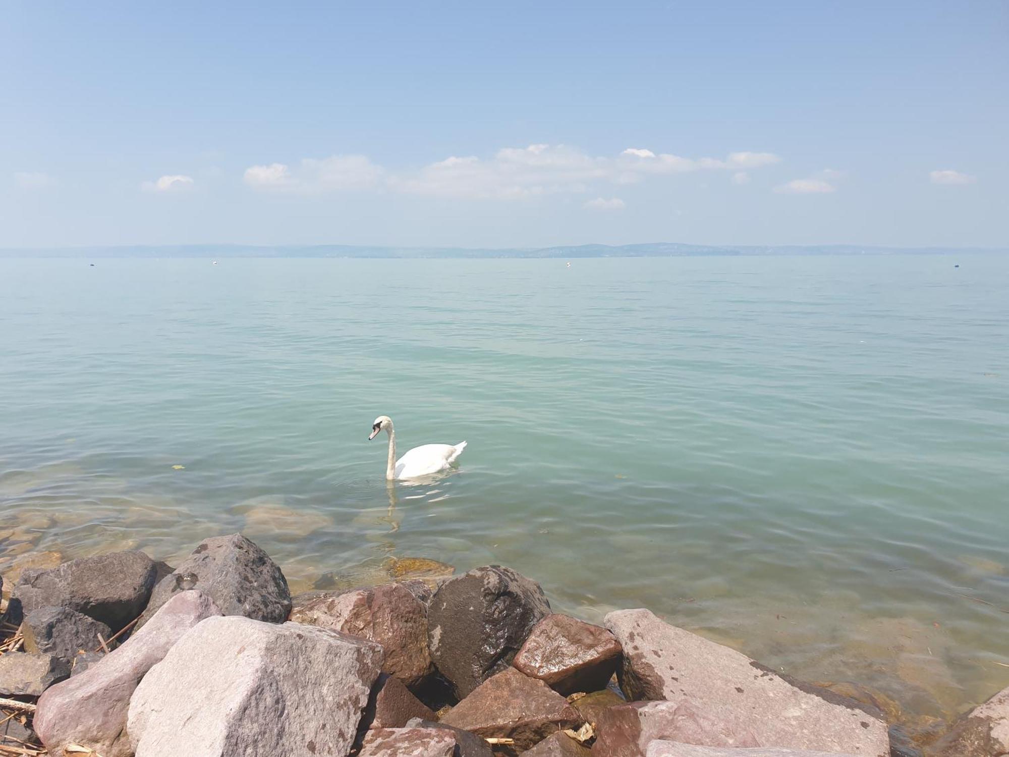 Balaton Lakeside Residence Siófok Exterior foto